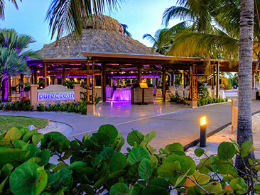 Bars and Restaurants at Divi Aruba Phoenix Beach Resort, Aruba