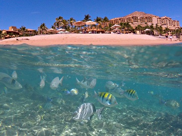 Bars and Restaurants at Grand Fiesta Americana Los Cabos, Los Cabos