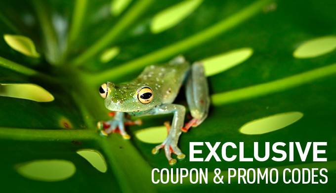 vacation express coupon code cancun